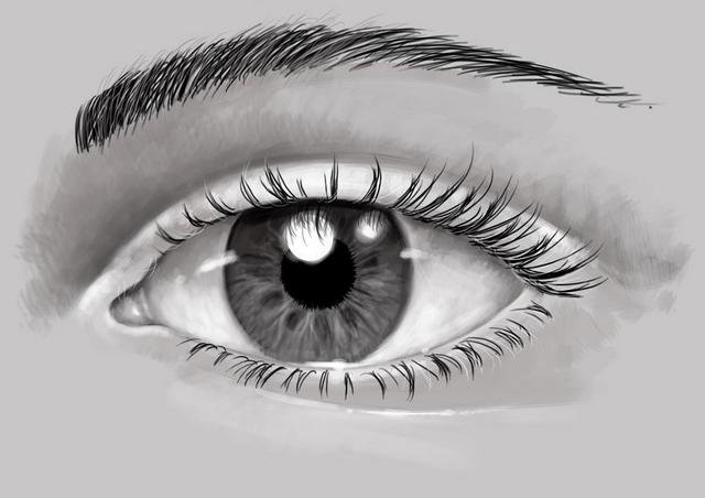Drawing the Human Eye  3dtotal  Learn  Create  Share
