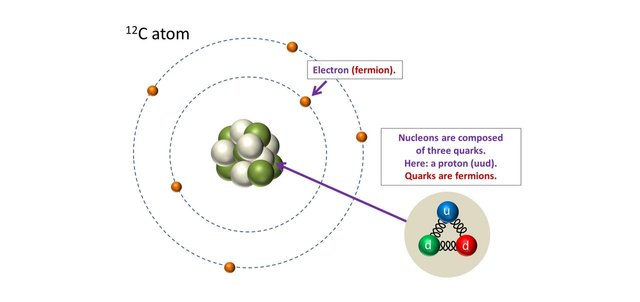 Proton fermion