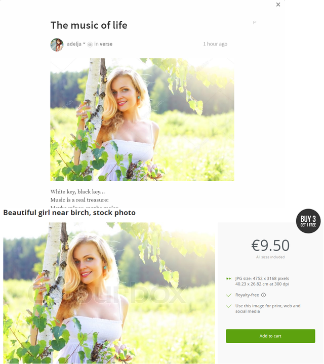 plagiarism.png