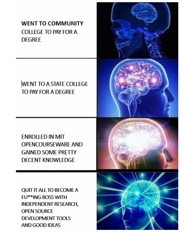 The_Brain_Progression.png