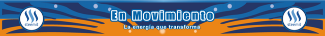 piedepagina_enmovimiento