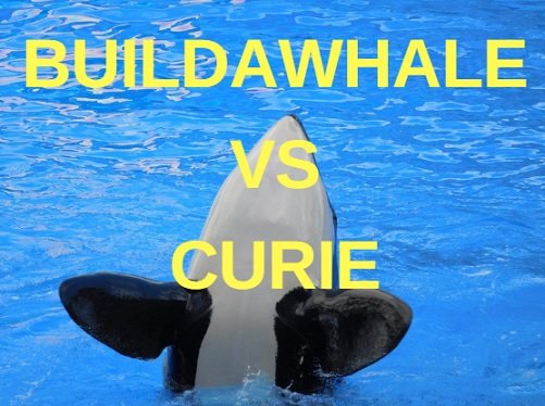 buildawhale_vs_curie