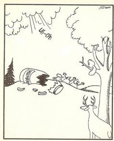 far side.jpg