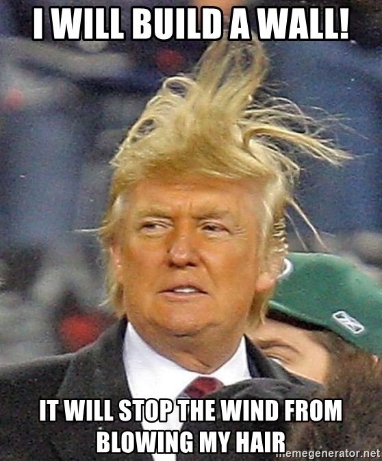 hair blowing in the wind meme