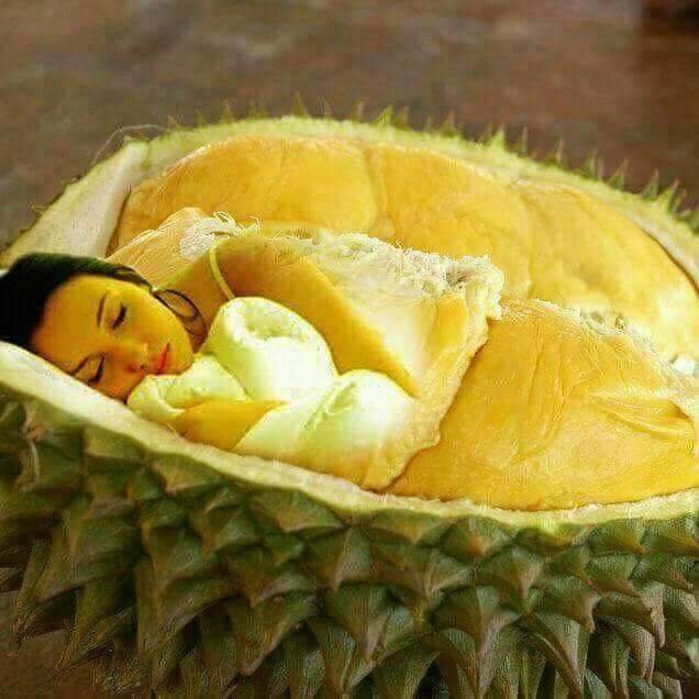 Download 4100 Koleksi Gambar Durian Belah Keren Gratis