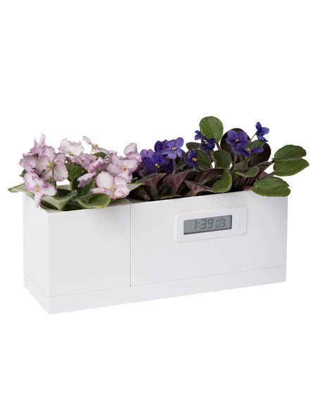 8591755_2586_self-powered-clock-planter.jpg