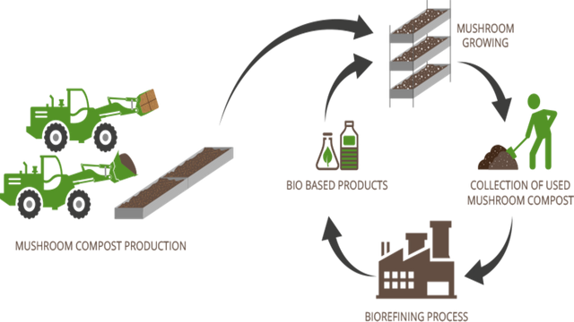 compost-production(1).png