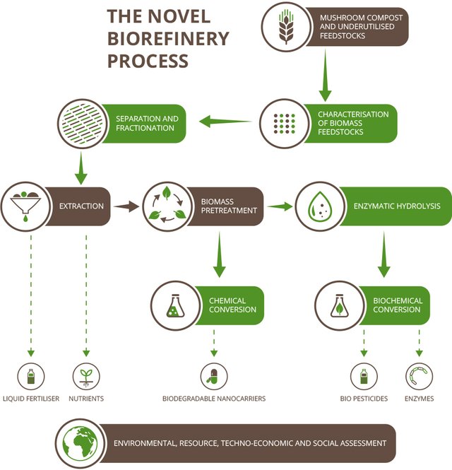 biorefinery-1.jpg