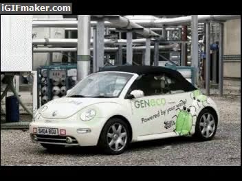 bio bug is the new dung beetle a car that runs on methane gas produced by human waste steemit steemit