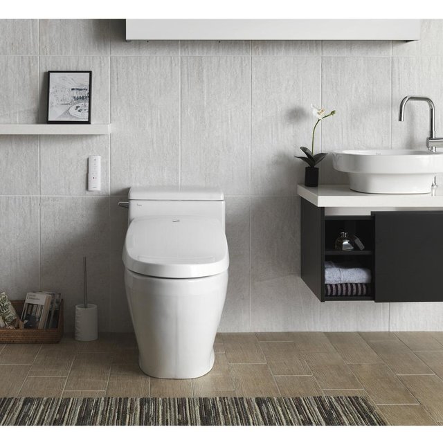 A8_Bidet_Seat_LIFESTYLE2_1000x1000.jpg