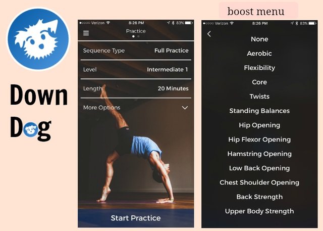 Down-Dog-Yoga-app.jpg