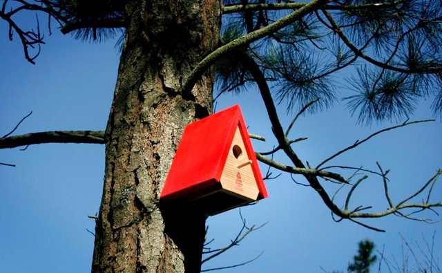 birdhouse3.jpg