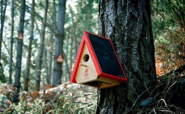 birdhouse2.jpg