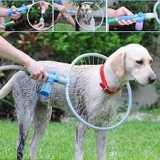 woof.jpg