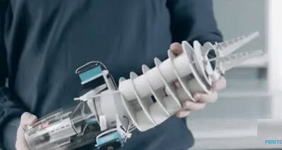 festo-education.mp4