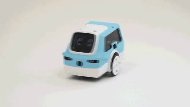 zumi_spin.mp4