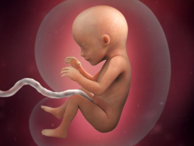 pregnancy-week-17-skeleton_4x3.jpg