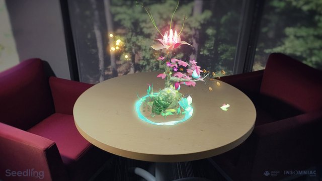 seedling_02.jpg