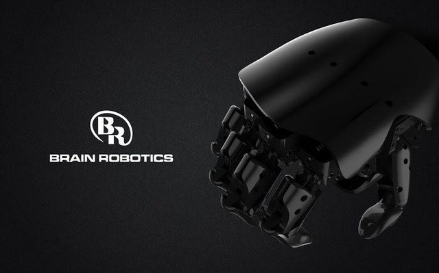 brainrobotics.jpeg
