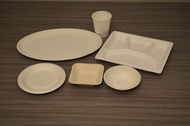 vaisselle-jetable-bagasse-001-800x530.jpg