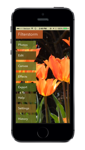 flower-screenshot-phone.png