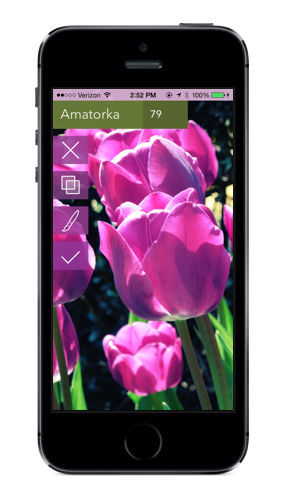 flower-screenshot2-phone.png