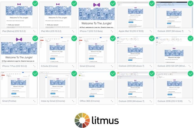 litmuspreview.jpg