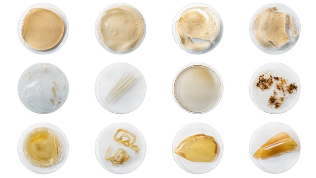 shellworks-lobster-bioplastic-design_dezeen_2364_col_8.jpg