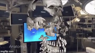 anatomyx.mp4