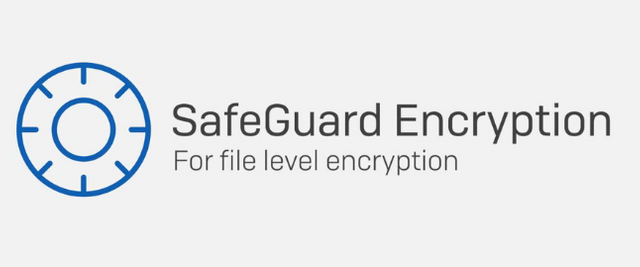 Safeguard3.PNG