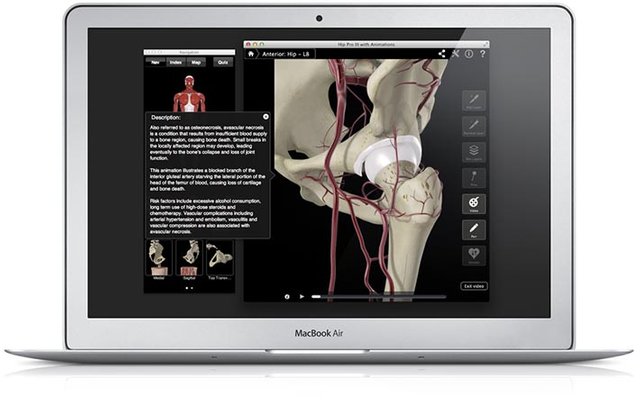 mac-feature-02-711.jpg