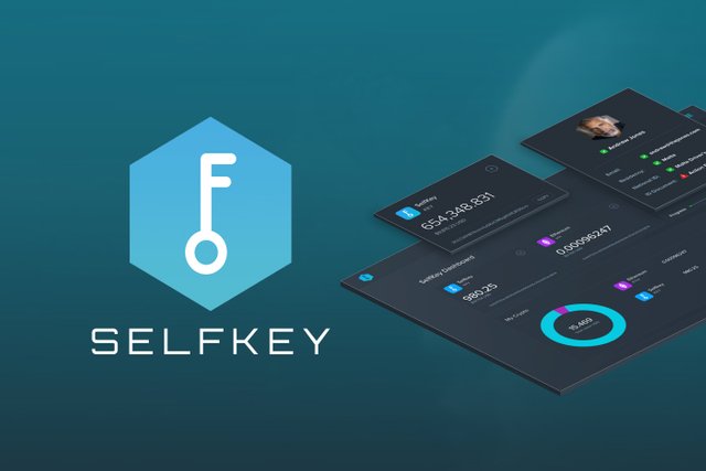 selfkey.jpg