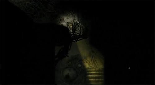 eye.mp4