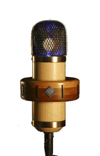 microphone.mp4
