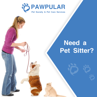 pawpular-pet-sitting.png