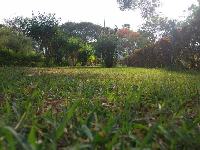 IMG_20190518_161901.jpg