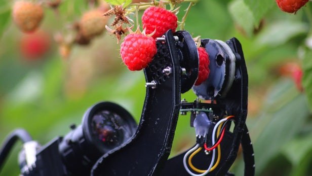 fieldwork-robotics-fruit-harvesting-robot-field-trials-1.jpg