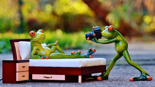 TA-WhyUs-FrogPic.jpg