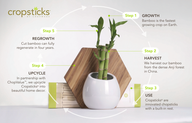 cropsticks_steps.png