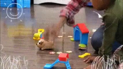 Coding-GIF.mp4