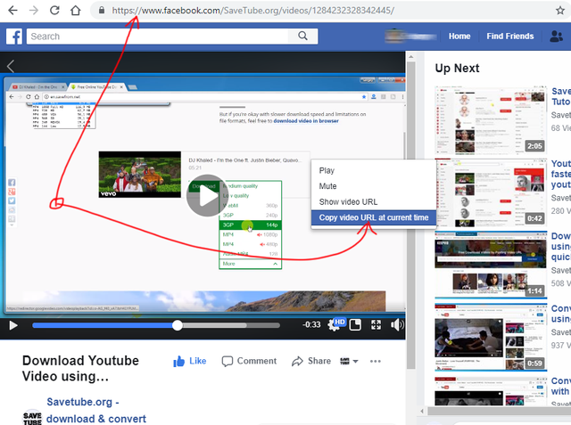 how-to-get-facebook-video-url.png