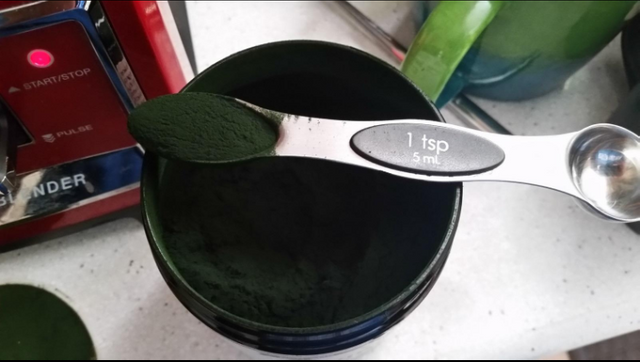 ALGA1.PNG