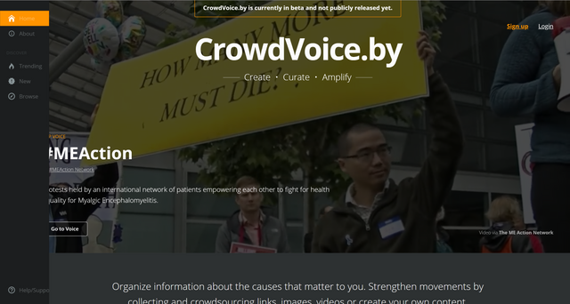 CrowdVoice.PNG