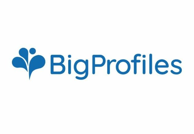 BigProfiles.jpg