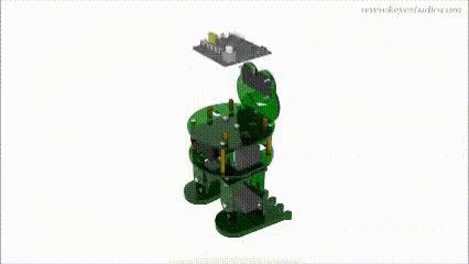 Frog-GIF.mp4