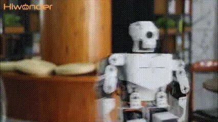 TonyPi-GIF.mp4