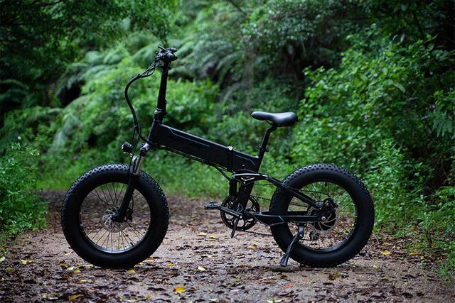 rattan fat bear ebike