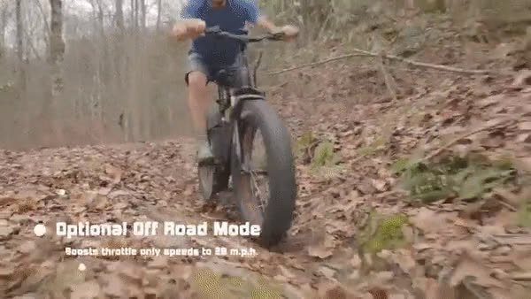ezgif.com-optimize.mp4