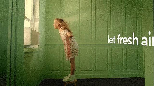 4.mp4