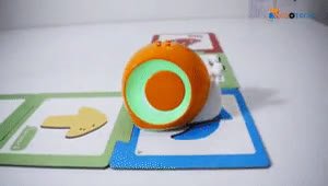 Introduction_to_Robobloq_Qobo____Robotics_for_Kids____Coding_Toys.mp4